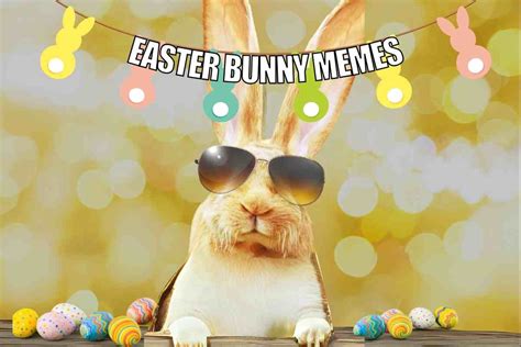 easter 2024 memes free|easter bunny memes.